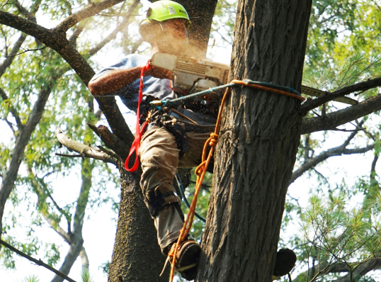 case_study_three_cover